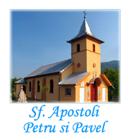 Sf. Apostoli Petru si Pavel - Vulcan Dealu Babii